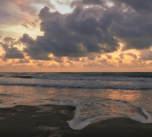 Screen Shot 2019-08-23 at 12.39.10 AM.png